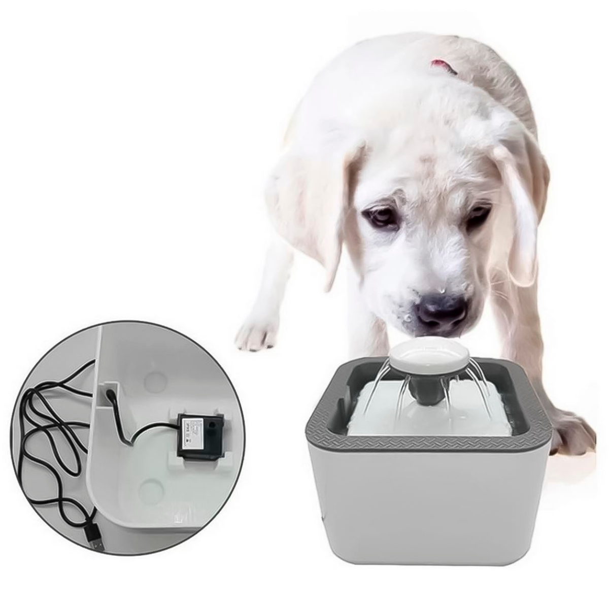 Fuente De Agua Para Gatos Y Perros De 2l