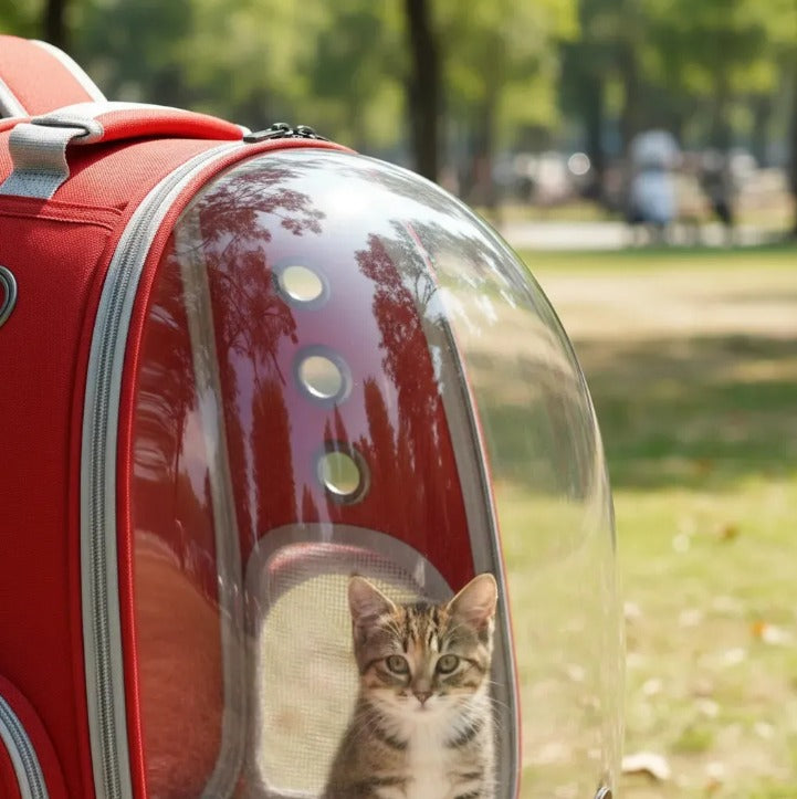 Mochila Transportadora Astronauta - Paseo Seguro y Sin Estrés