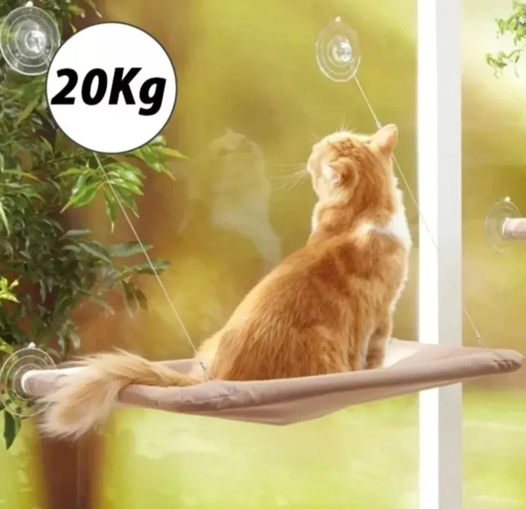 Hamaca Ventana para Gatos XXL - Cama Colgante Solar