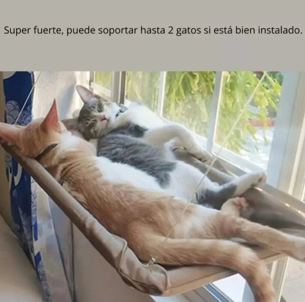 Hamaca Ventana para Gatos XXL - Cama Colgante Solar