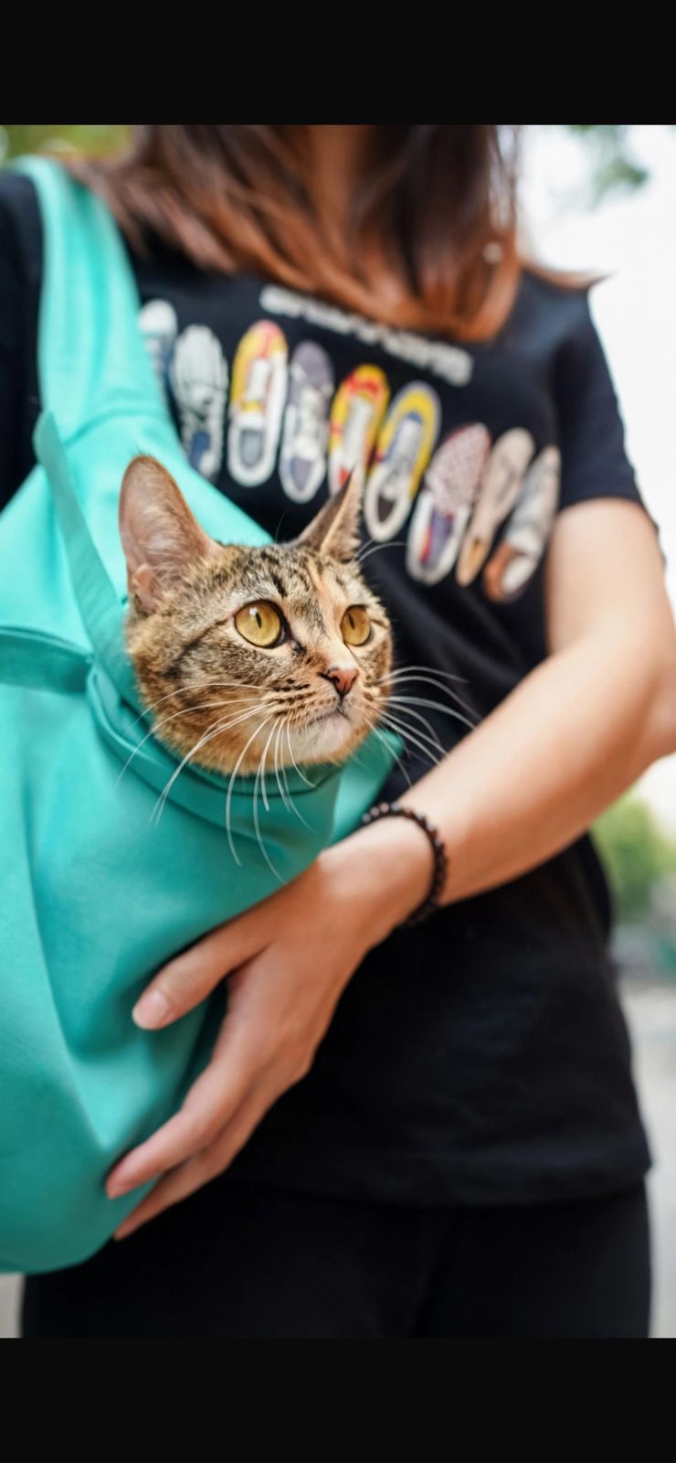 Bolso Canguro Transportador para Gatos - Manos Libres - Anti Estrés